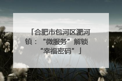 合肥市包河区淝河镇：“微服务”解锁“幸福密码”