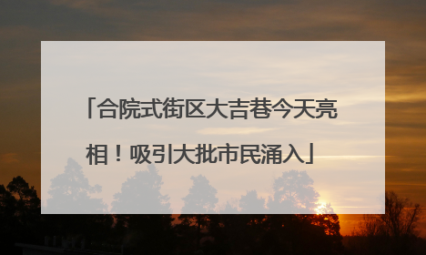 合院式街区大吉巷今天亮相！吸引大批市民涌入