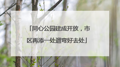 同心公园建成开放，市区再添一处遛弯好去处
