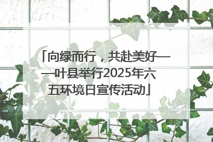 向绿而行，共赴美好——叶县举行2025年六五环境日宣传活动