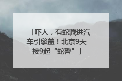 吓人，有蛇藏进汽车引擎盖！北京9天接9起“蛇警”