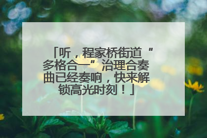 听，程家桥街道“多格合一”治理合奏曲已经奏响，快来解锁高光时刻！