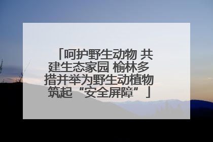 呵护野生动物 共建生态家园 榆林多措并举为野生动植物筑起“安全屏障”