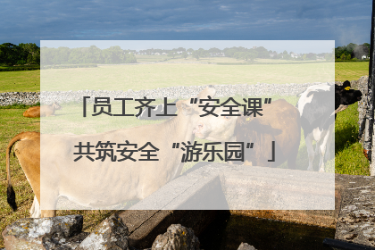 员工齐上“安全课” 共筑安全“游乐园”