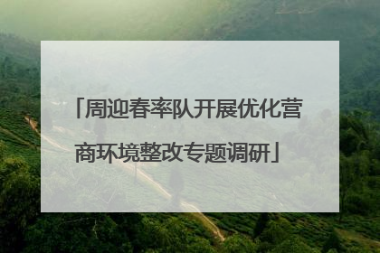 周迎春率队开展优化营商环境整改专题调研