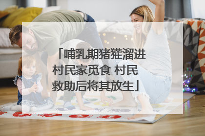哺乳期猪獾溜进村民家觅食 村民救助后将其放生