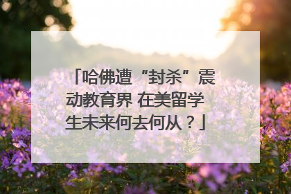 哈佛遭“封杀”震动教育界 在美留学生未来何去何从？