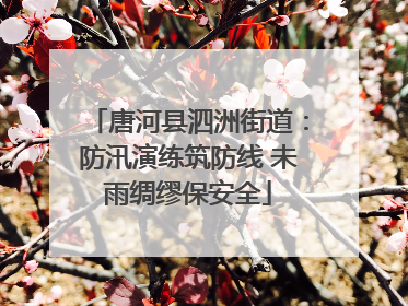 唐河县泗洲街道：防汛演练筑防线 未雨绸缪保安全