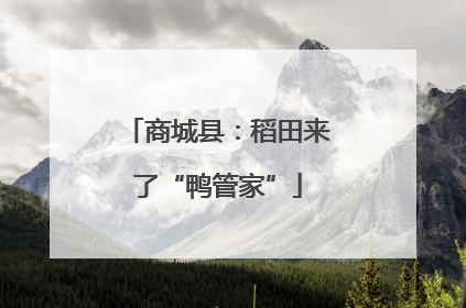 商城县：稻田来了“鸭管家”