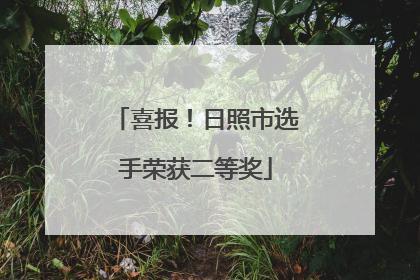 喜报！日照市选手荣获二等奖