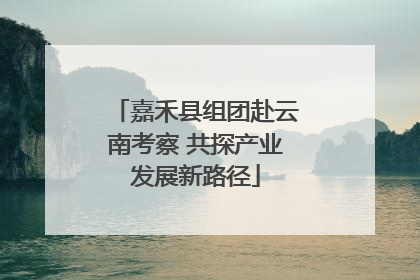 嘉禾县组团赴云南考察 共探产业发展新路径