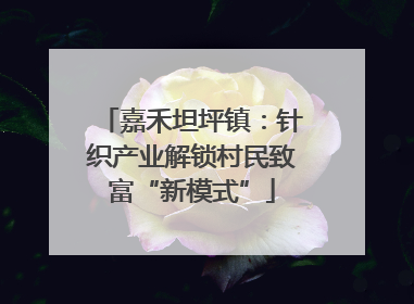 嘉禾坦坪镇：针织产业解锁村民致富“新模式”