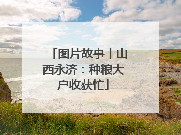 图片故事丨山西永济：种粮大户收获忙