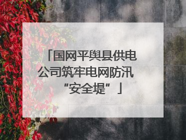 国网平舆县供电公司筑牢电网防汛“安全堤”