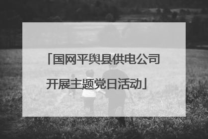 国网平舆县供电公司开展主题党日活动