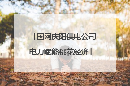 国网庆阳供电公司电力赋能桃花经济