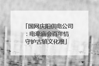 国网庆阳供电公司：电牵庙会百年情 守护古镇文化根
