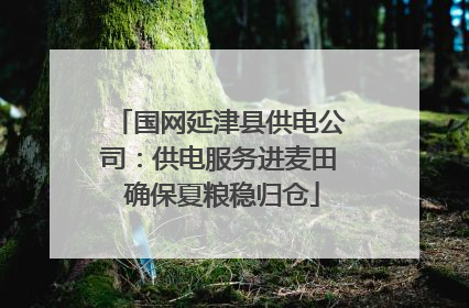 国网延津县供电公司：供电服务进麦田 确保夏粮稳归仓