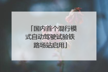 国内首个混行模式自动驾驶试验铁路场站启用