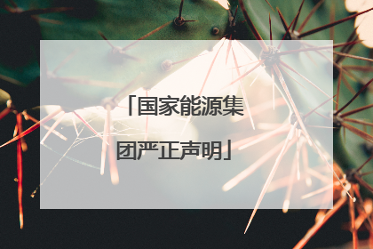 国家能源集团严正声明