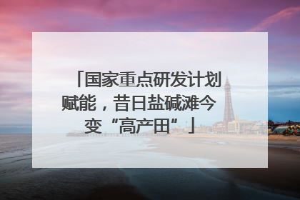 国家重点研发计划赋能，昔日盐碱滩今变“高产田”