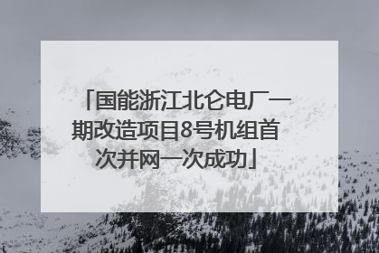 国能浙江北仑电厂一期改造项目8号机组首次并网一次成功
