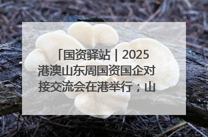 国资驿站｜2025港澳山东周国资国企对接交流会在港举行；山东黄金成功在境外发行3亿美元绿色债券
