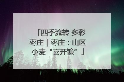 四季流转 多彩枣庄｜枣庄：山区小麦“喜开镰”