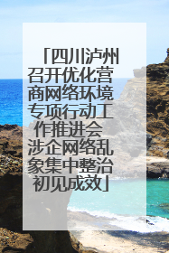 四川泸州召开优化营商网络环境专项行动工作推进会 涉企网络乱象集中整治初见成效
