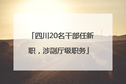 四川20名干部任新职，涉副厅级职务