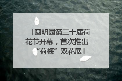 圆明园第三十届荷花节开幕，首次推出“荷梅”双花展