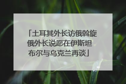 土耳其外长访俄斡旋 俄外长说愿在伊斯坦布尔与乌克兰再谈