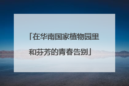 在华南国家植物园里和芬芳的青春告别