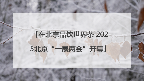 在北京品饮世界茶 2025北京“一展两会”开幕