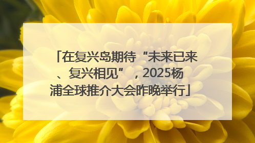 在复兴岛期待“未来已来、复兴相见”，2025杨浦全球推介大会昨晚举行