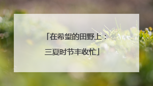 在希望的田野上：三夏时节丰收忙
