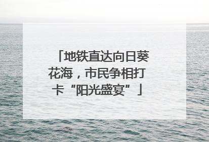 地铁直达向日葵花海，市民争相打卡“阳光盛宴”