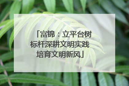 富锦：立平台树标杆深耕文明实践培育文明新风