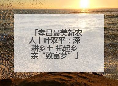 孝昌最美新农人丨叶双平：深耕乡土 托起乡亲“致富梦”