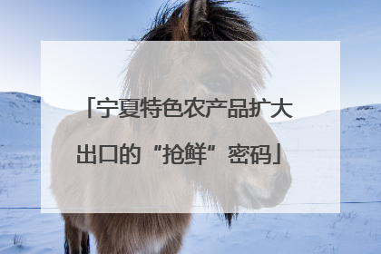 宁夏特色农产品扩大出口的“抢鲜”密码