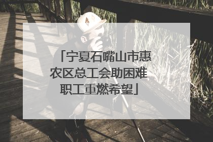 宁夏石嘴山市惠农区总工会助困难职工重燃希望