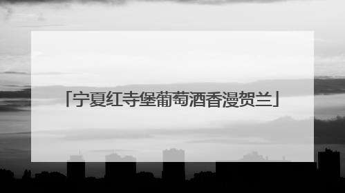 宁夏红寺堡葡萄酒香漫贺兰