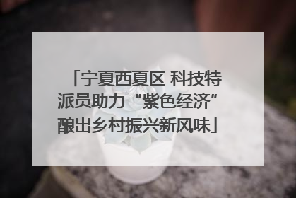 宁夏西夏区 科技特派员助力“紫色经济”酿出乡村振兴新风味