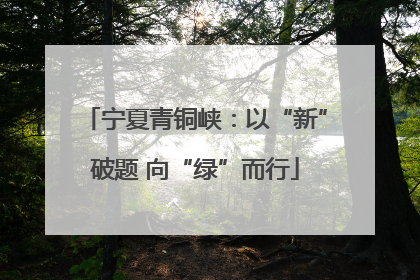 宁夏青铜峡：以“新”破题 向“绿”而行
