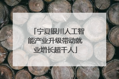 宁夏银川人工智能产业升级带动就业增长超千人