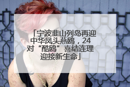 宁波韭山列岛再迎中华凤头燕鸥，24对“酷鸥”喜结连理迎接新生命