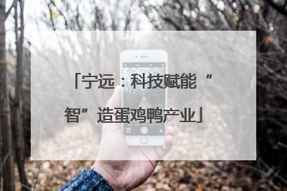 宁远：科技赋能“智”造蛋鸡鸭产业