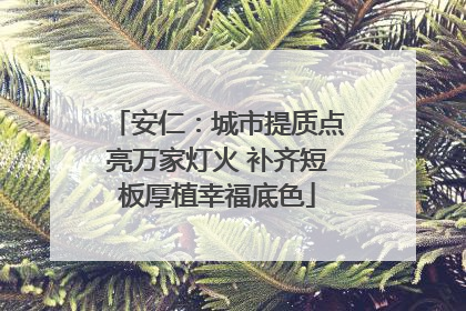 安仁：城市提质点亮万家灯火 补齐短板厚植幸福底色