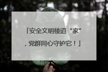 安全文明楼道“家”，党群同心守护它！