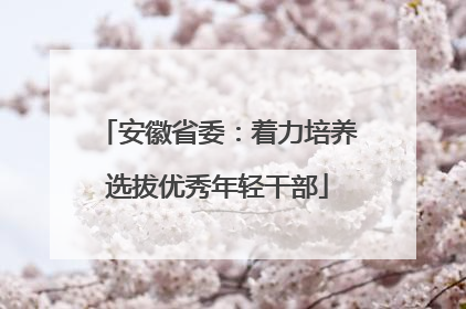 安徽省委：着力培养选拔优秀年轻干部